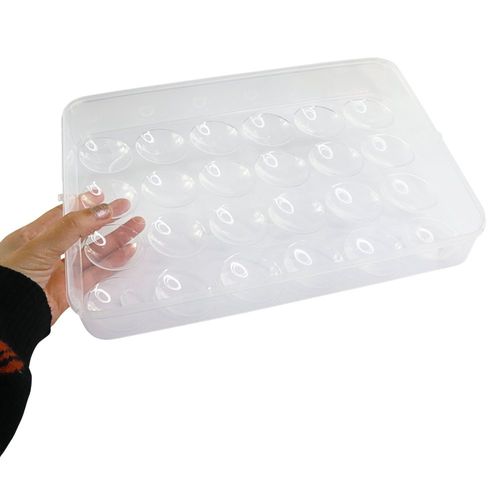 Bandeja de Ovos de Plástico 24 Compartimentos