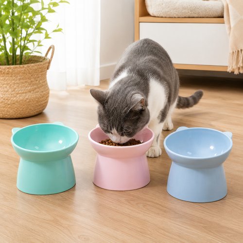 1ai2e52bfep-lg-2.jpg Comedouro Elevado Formato Gato 13cm - Sortido