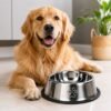 7eeoo928f8r-lg-2.jpg Comedouro Antiderrapante Redondo Para Cachorro e Gato 30cm - Inox