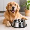 7eeoo928f8r-xl-1.jpg Comedouro Antiderrapante Redondo Para Cachorro e Gato 30cm - Inox