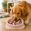 knsknretm7r-xl-1.jpg Comedouro Lento para Pets 20cm