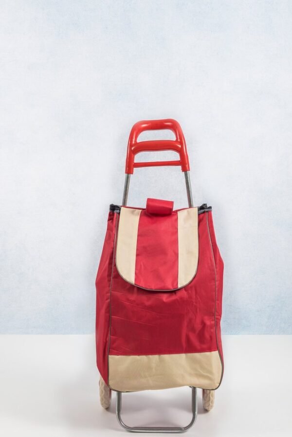 rjgjgrpzz1p-xl.jpg Carrinho de Feira Dobrável com Bolsa - Sortida