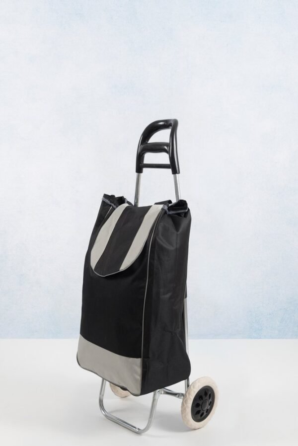 vq8mbrhwrsg-xl-53.jpg Carrinho de Feira Dobrável com Bolsa - Sortida
