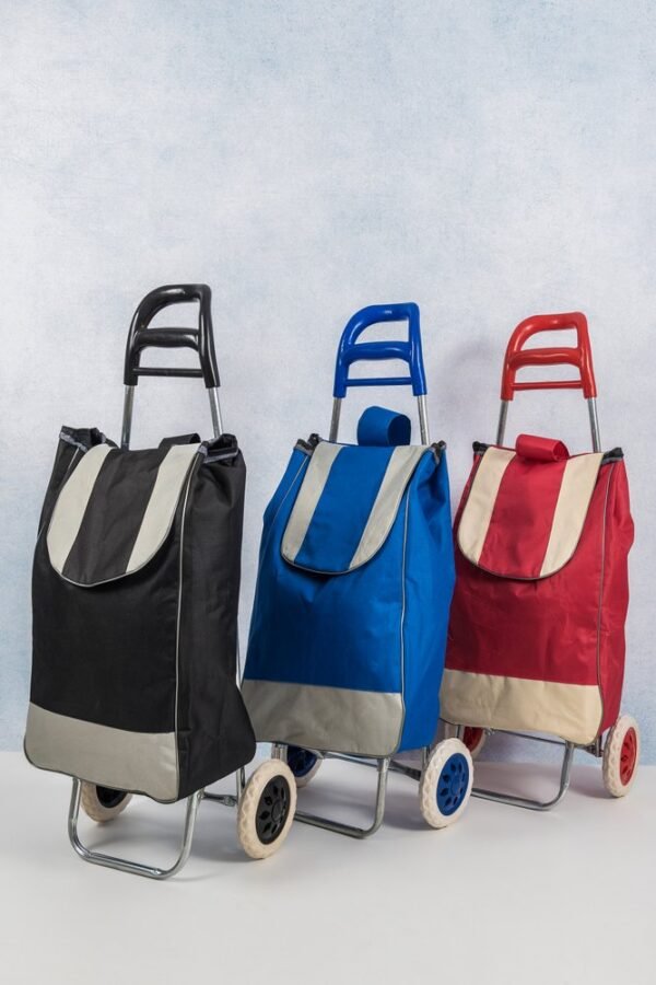 wcvwxi64pa-xl.jpg Carrinho de Feira Dobrável com Bolsa - Sortida
