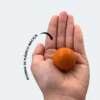 Arranhador para Gatos com Bolinha Interativa Antistress - 2