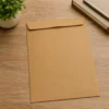 11226-3 Caixa com 250 Envelopes 229x324 - Pardo - 3