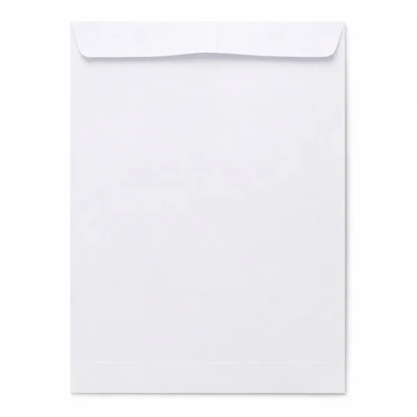 Caixa com 250 Envelopes - 2
