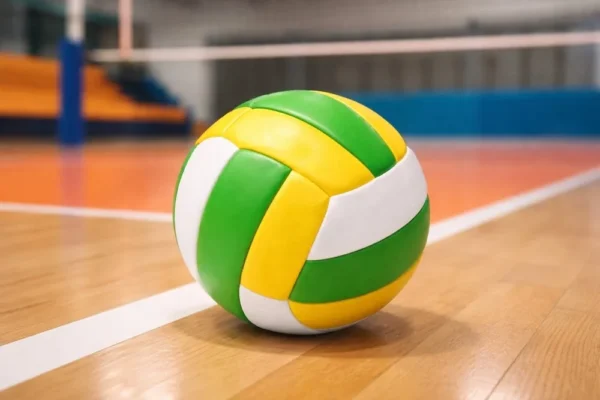 Bola de Vôlei Infantil 63cm- Sortida