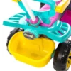 Carrinho De Passeio Infantil Quadriciclo Haste Pedal - Menina - 6