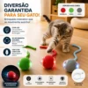 Brinquedo bola interativa que se movimenta - Sortido
