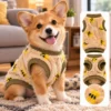 Roupa Vestir Vestir Cachorro Gato para Pet Tigre - Marrom