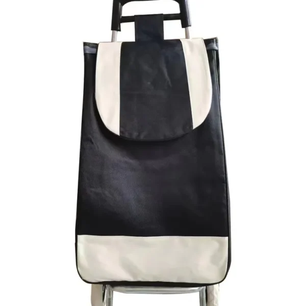 N1030.U01-1 Carrinho de Feira Dobrável com Bolsa - Sortida