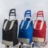Carrinho de Feira Dobrável com Bolsa - Sortida - 6