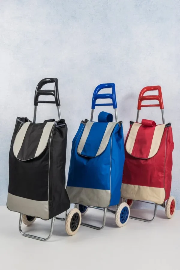 Carrinho de Feira Dobrável com Bolsa - Sortida - 6