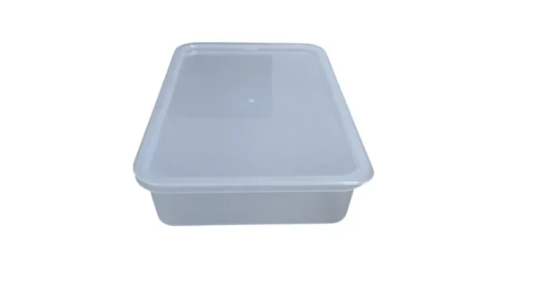 Conjunto 5 Potes Herméticos de Plástico Com Tampa - 5