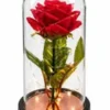 Cúpula Decorativa com 1 Rosa - Vermelha - 4