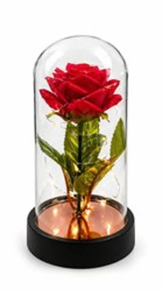 Cúpula Decorativa com 1 Rosa - Vermelha - 4